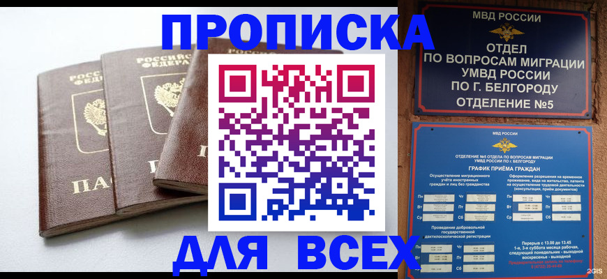 прописка в Зернограде
